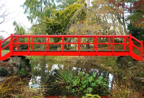 Red wooden bridge over a reflective pond in a tranquil UK garden, perfect for nature lovers.