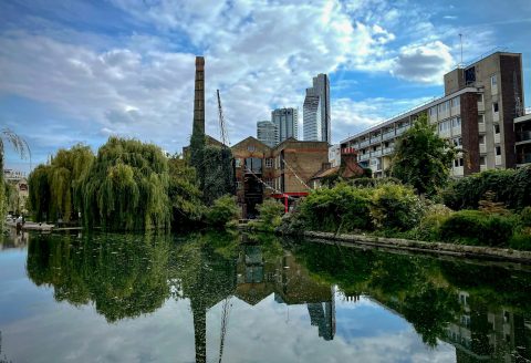 a body of water with buildings and trees around it