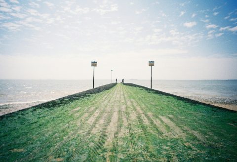 green grass field near sea under white sky during daytime