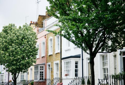 green trees in front of white and brown concrete building during daytime